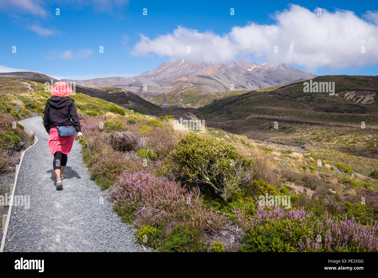 Una donna che cammina verso il Monte Ruapehu nel Parco Nazionale di Tongariro Foto Stock