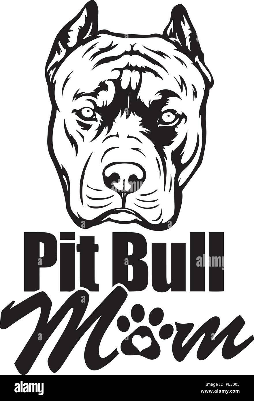 Pit Bull Pitbull Cane Di Razza Del Cane Cucciolo Isolato