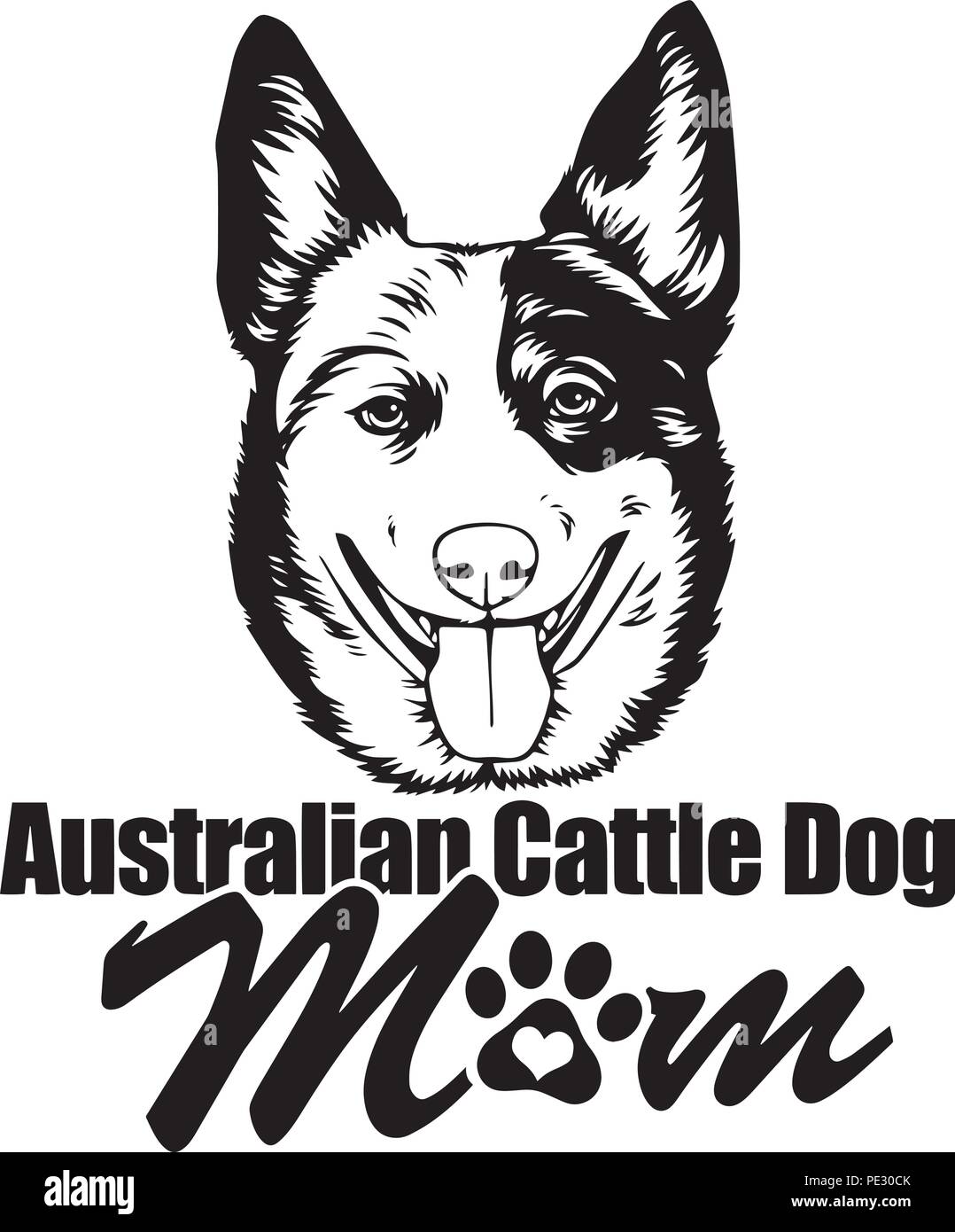 Australian bovini di razza del cane cucciolo isolato faccia di testa Illustrazione Vettoriale