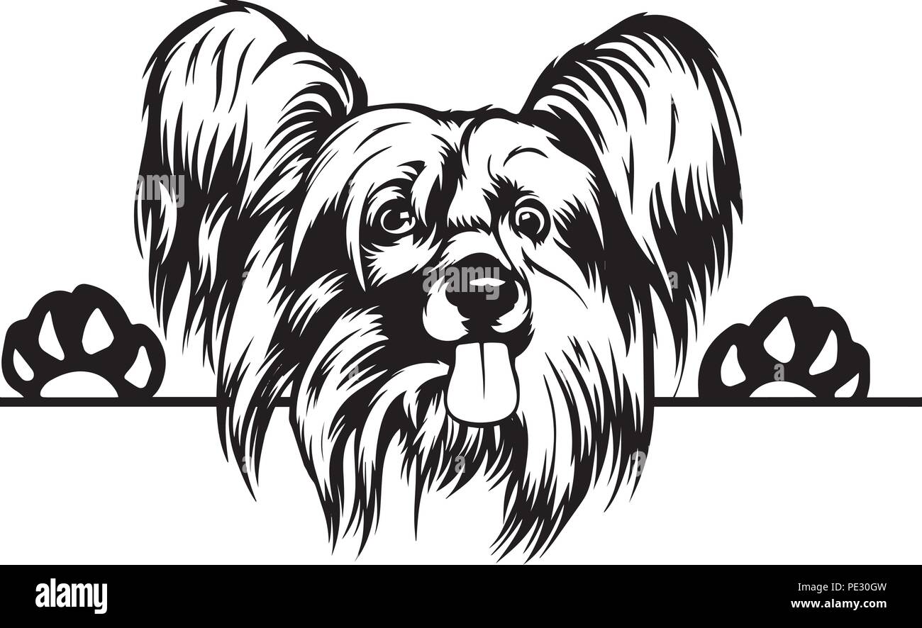 Crested cinese di razza del cane cucciolo isolato faccia di testa Illustrazione Vettoriale