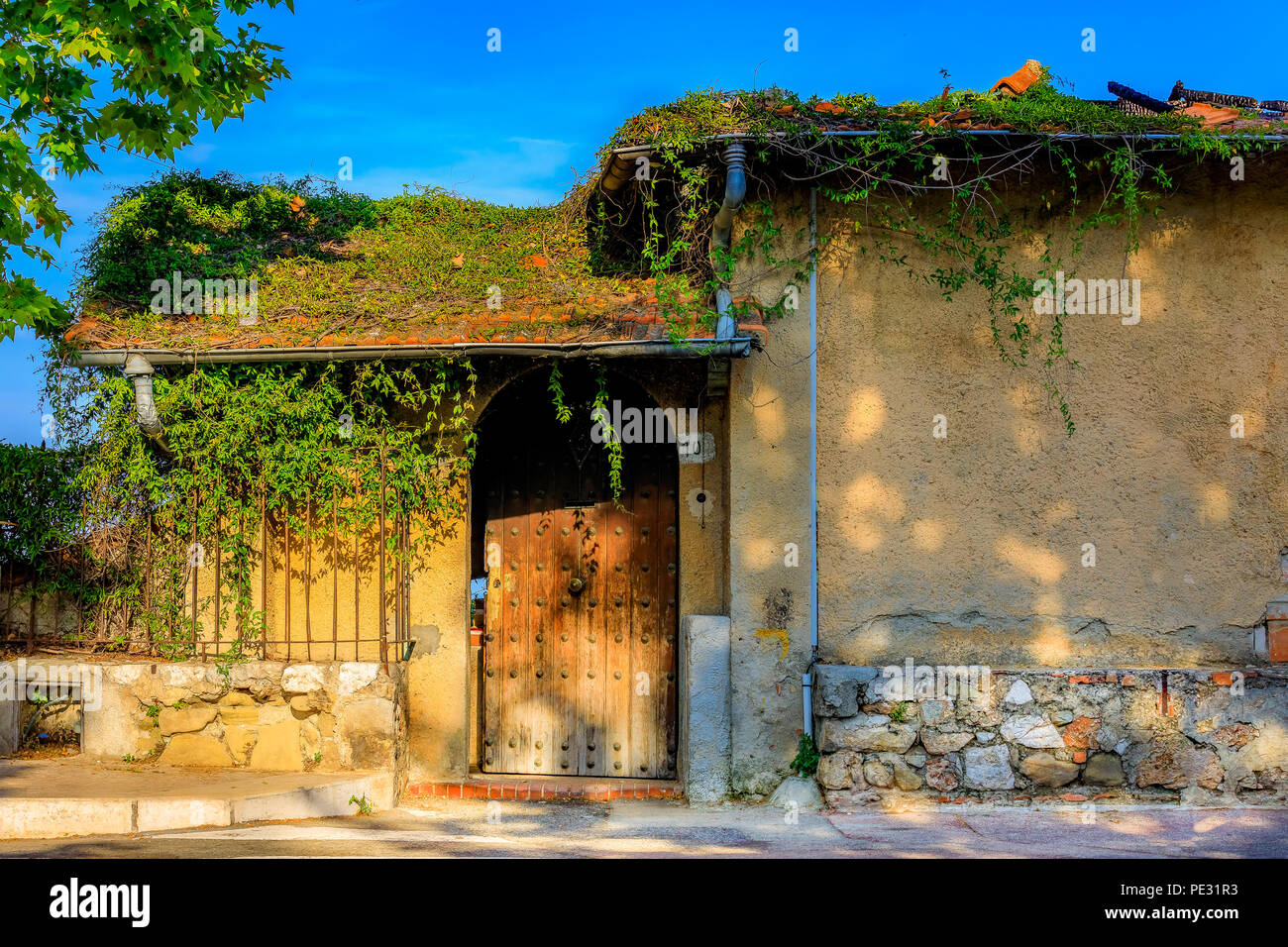 Coperto di edera vecchi edifici della città vecchia di Mentone sulla Costa Azzurra o Cote d'Azur Foto Stock