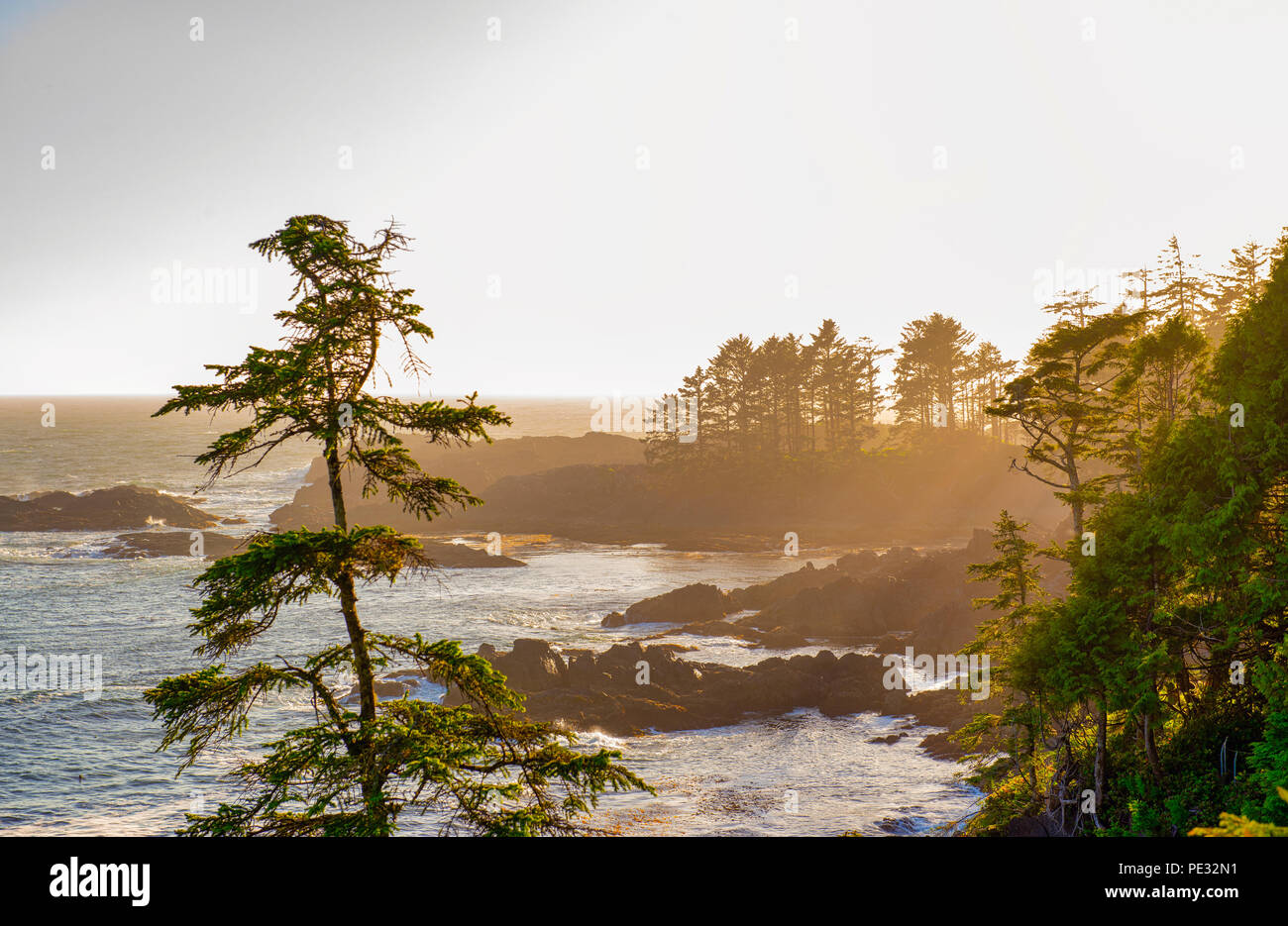 Vista del litorale a wild pacific trail in Ucluelet, Isola di Vancouver, BC al tramonto del tempo. Foto Stock