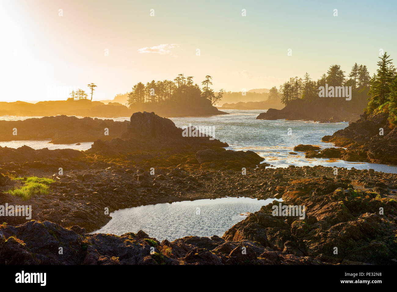 Vista del litorale a wild pacific trail in Ucluelet, Isola di Vancouver, BC al tramonto del tempo. Foto Stock