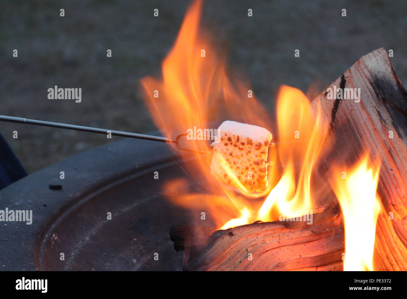 Incendio in una buca per il fuoco, tostatura marshmallow Foto Stock
