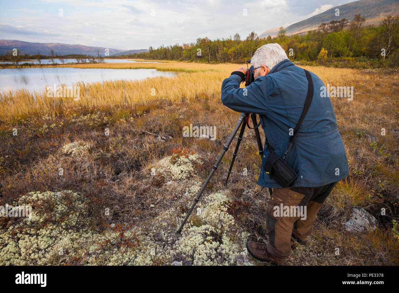 Fotografo per esterni di fotografare il paesaggio a Fokstumyra riserva naturale, Dovre, Norvegia. Foto Stock