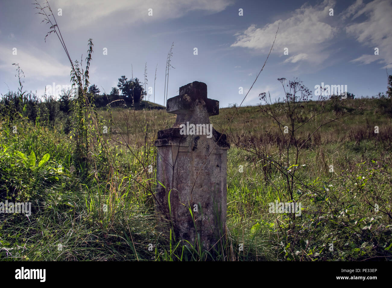 Western Serbia - una antica lapide solitario sul prato circostante borgo Dobrotin Foto Stock