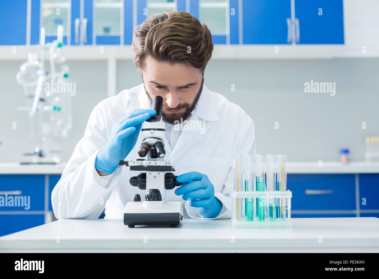 La ricerca biologica. Smart nizza scienziato fiducioso guardando al microscopio ed il test di campioni pur facendo la ricerca biologica Foto Stock