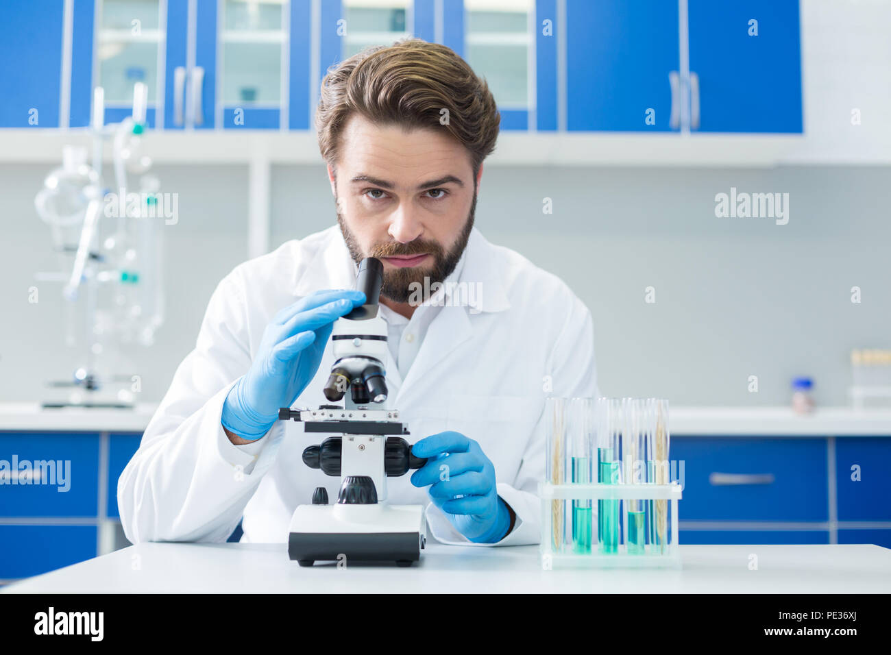 Presso il laboratorio. Professional intelligente scienziato maschio seduti di fronte al microscopio e facendo la ricerca mentre si è al lavoro Foto Stock