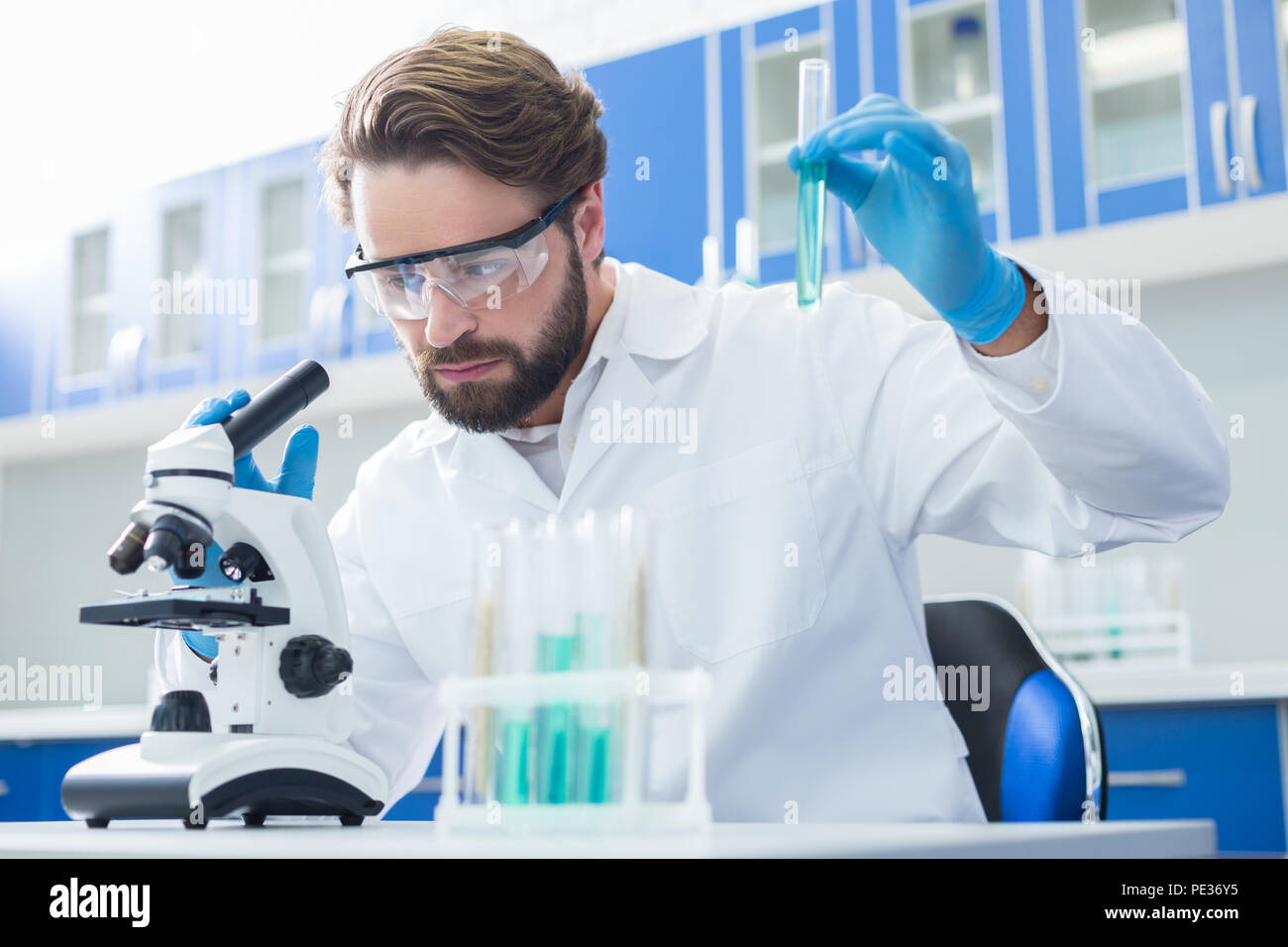 Progetto scientifico. Serie intelligent duro lavoro tenendo una provetta e cercando nel microscopio mentre si lavora sul suo progetto Foto Stock