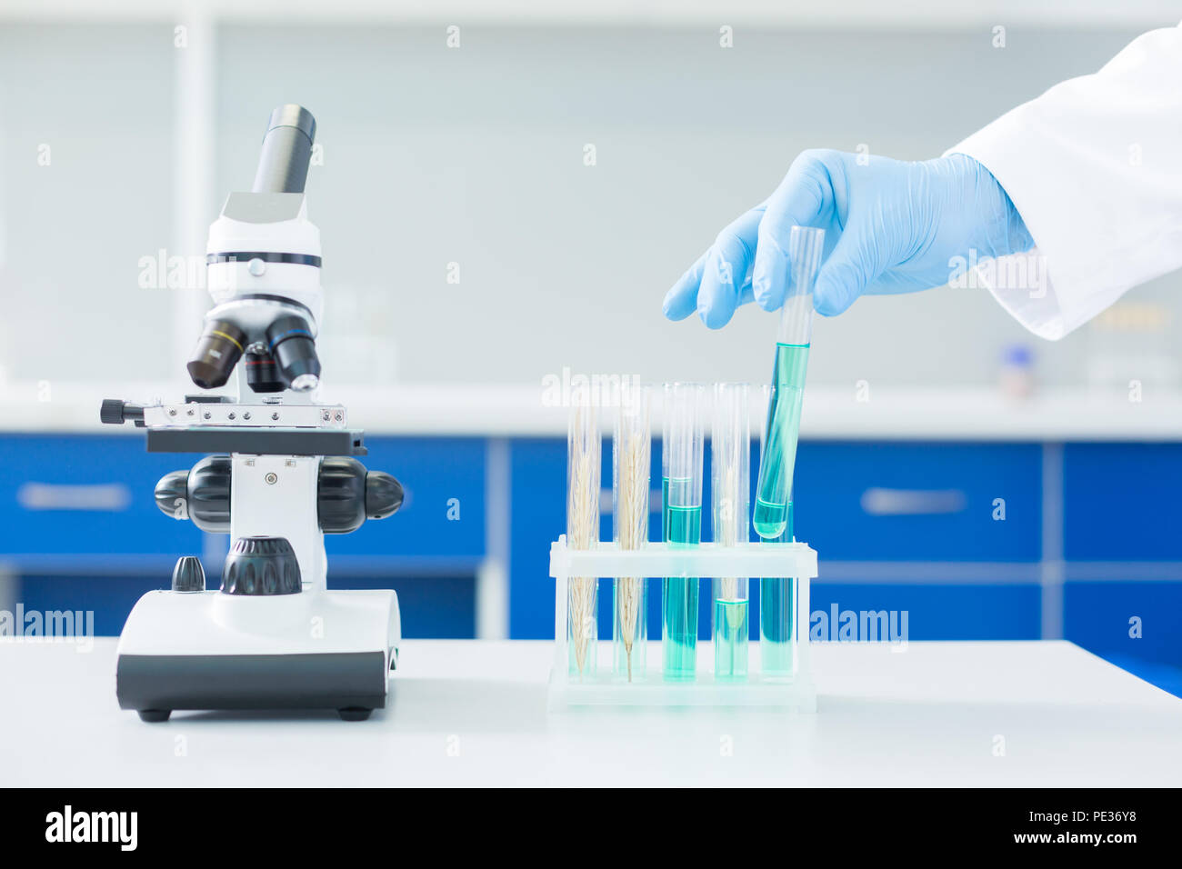Moderno laboratorio. Close up di un microscopio in piedi vicino a tubi di prova nel moderno laboratorio Foto Stock