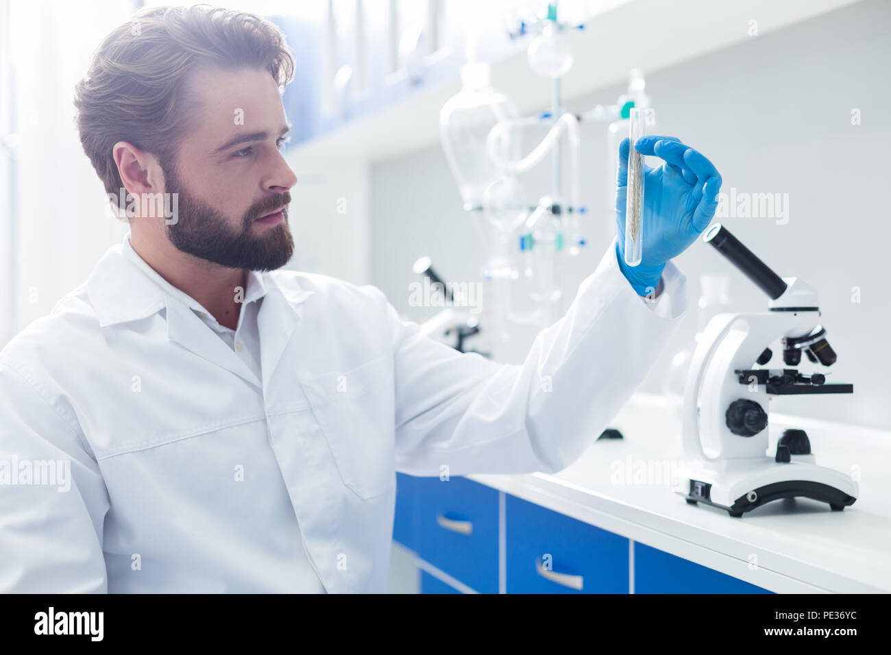 La ricerca biologica. Smart positivo biologo maschio tenendo un microscopio e prendendo un tubo di prova mentre si conduce una ricerca biologica Foto Stock