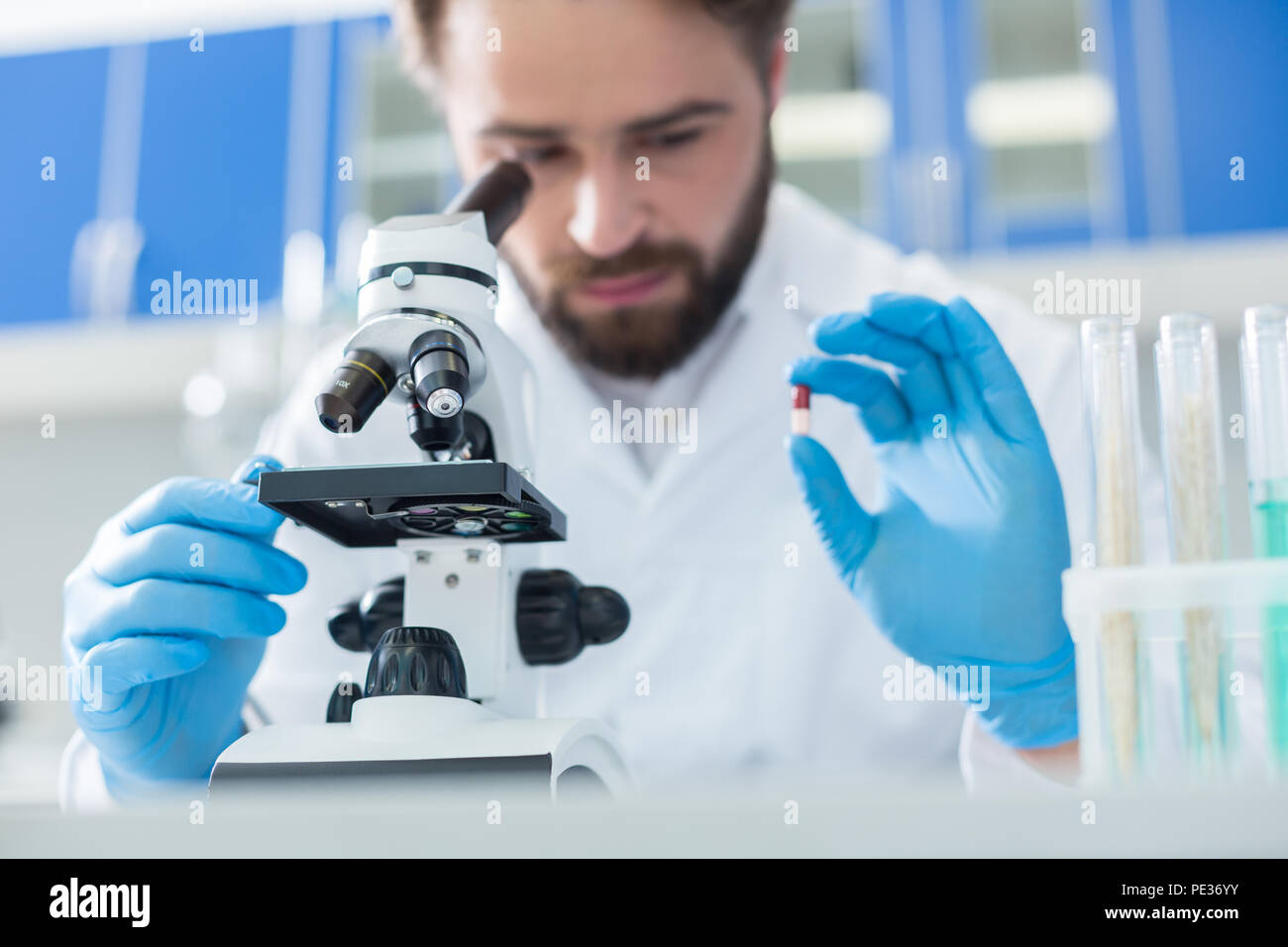 Laboratorio biologico. Messa a fuoco selettiva di un microscopio professionale essendo utilizzato da una bella scienziato professionale per la ricerca biologica Foto Stock