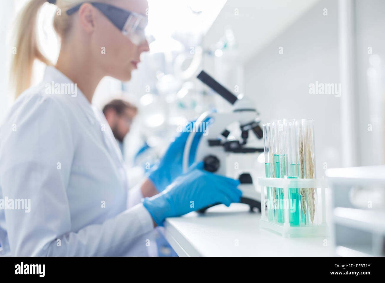 Materiale di analisi. Messa a fuoco selettiva di provette con reagenti chimici in piedi nel rack speciale sul tavolo Foto Stock