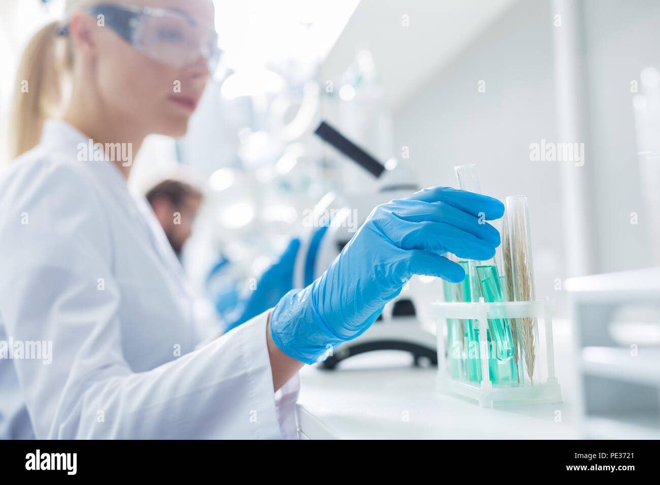 Analisi di laboratorio. Messa a fuoco selettiva di una femmina di mano in blu guanto di gomma tenendo una provetta per analisi Foto Stock