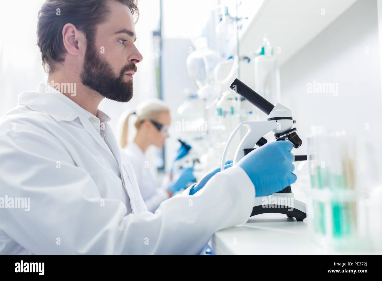 Ricerca professionale. Smart gravi di lavoro duro biologo seduti a tavola e impostazione del suo microscopio, mentre facendo una ricerca biologica Foto Stock