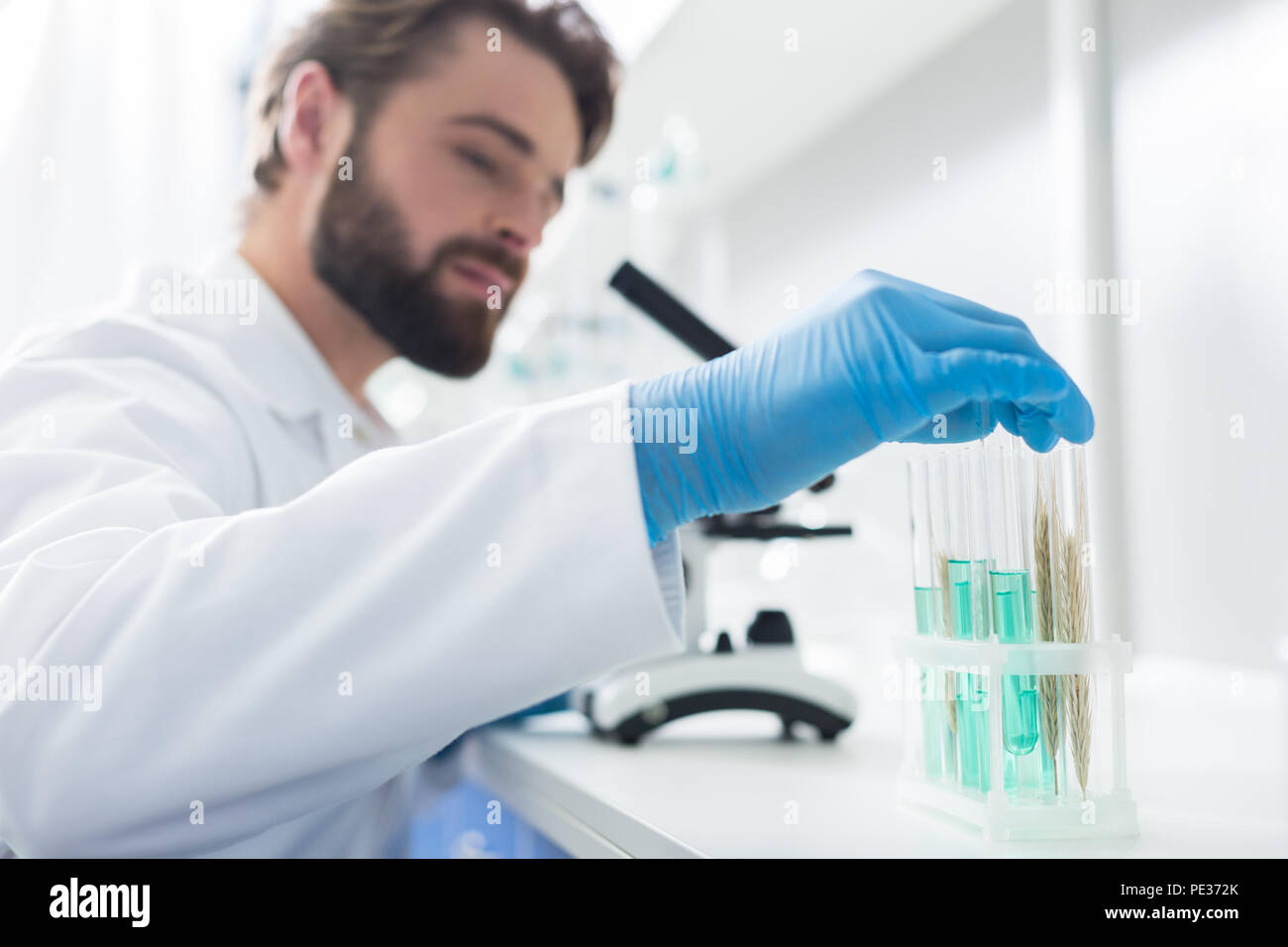 La ricerca di laboratorio. Messa a fuoco selettiva di un maschio di mano tenendo una provetta del test con campioni di prova durante la conduzione di una ricerca Foto Stock