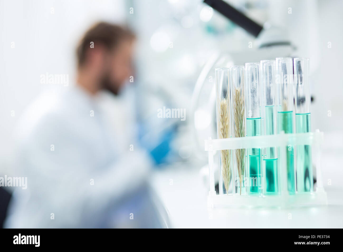 Laboratorio moderno. Provette con campioni di laboratorio è pronto per l'analisi scientifica Foto Stock