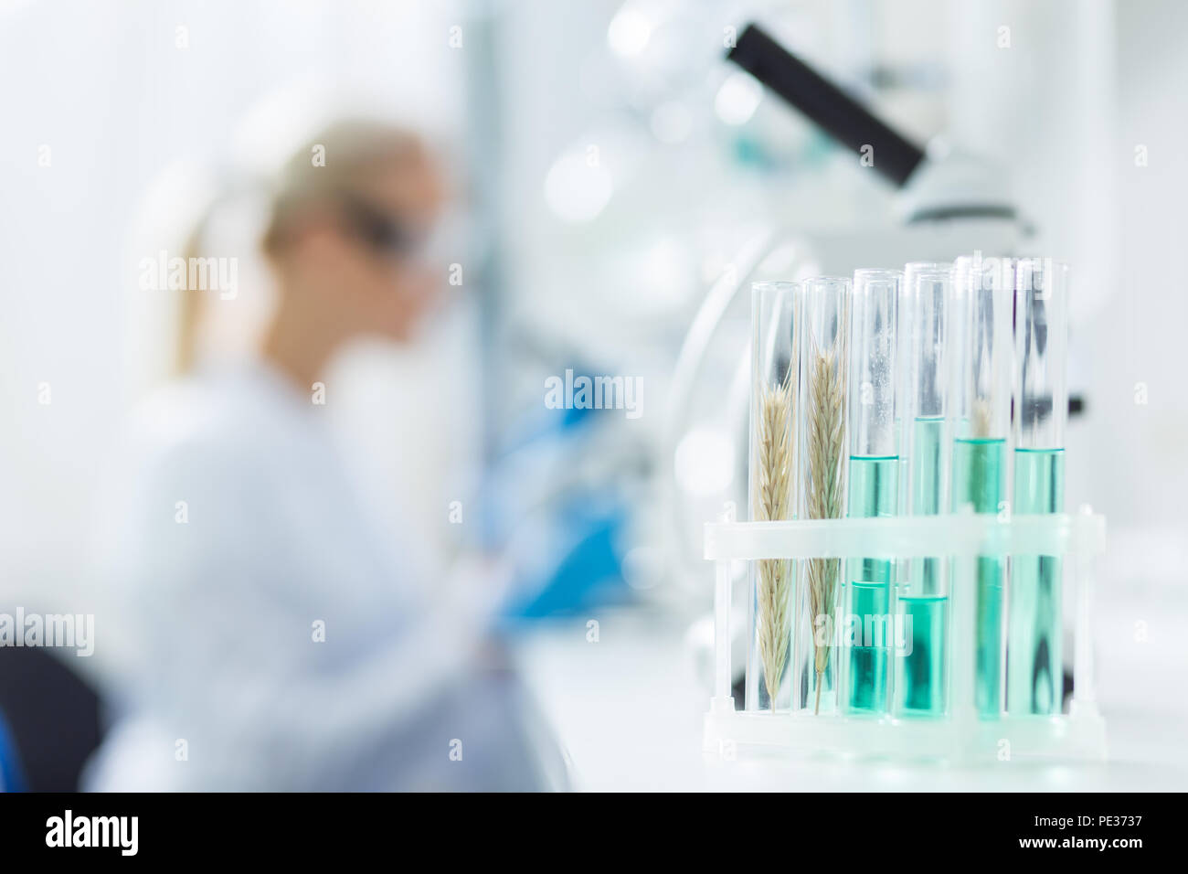 Pronto per l'analisi. Messa a fuoco selettiva di provette con campioni di laboratorio è pronto per analisi biologiche Foto Stock