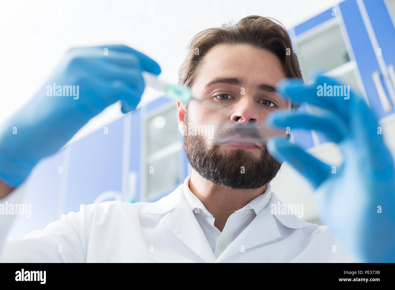Le prove di laboratorio. Grave bello bello biologo tenendo un vetrino per microscopio e guardarlo mentre si fanno prove biologiche Foto Stock