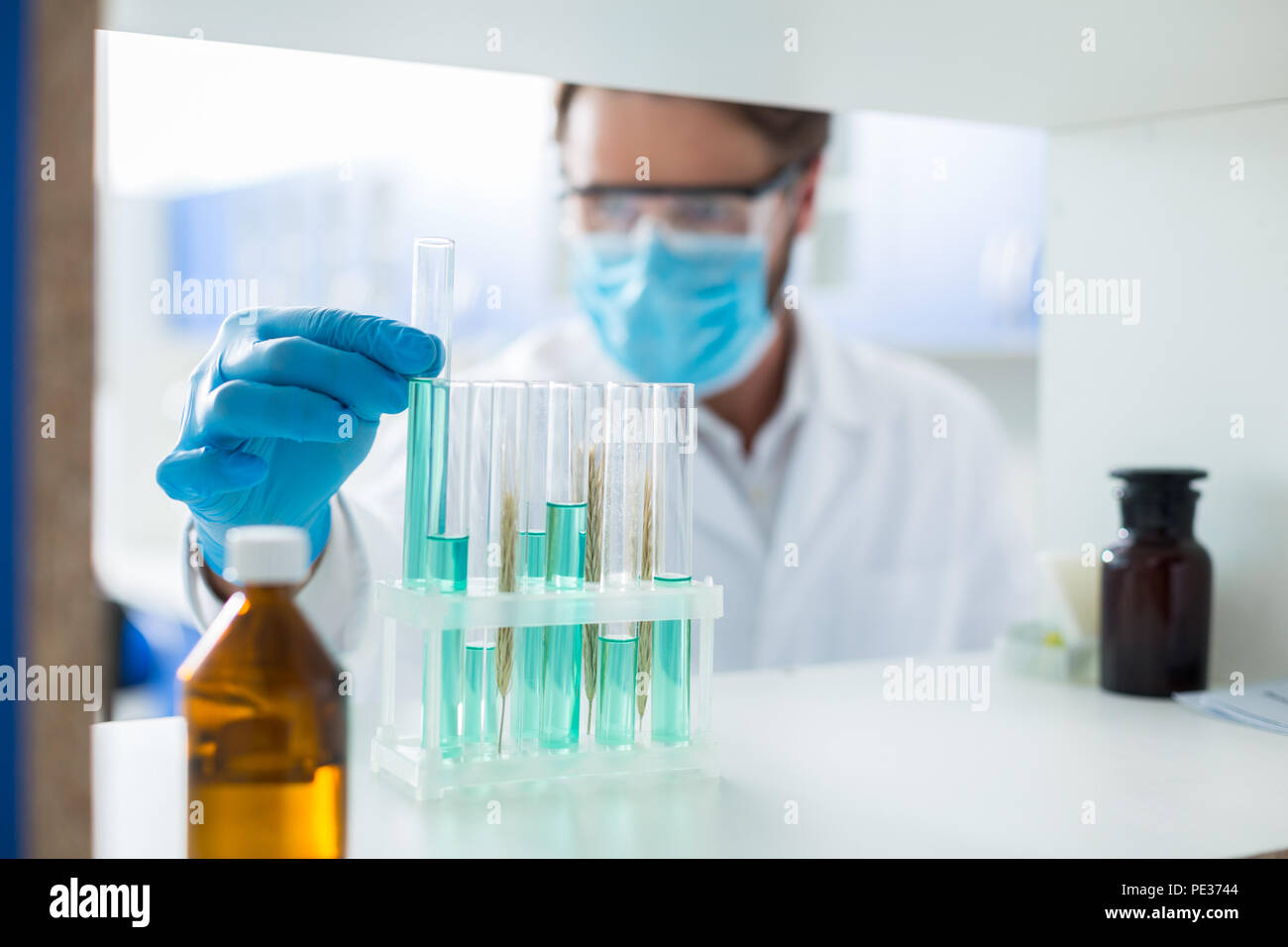La scoperta scientifica. Messa a fuoco selettiva di provette con reagenti chimici in piedi sul ripiano in laboratorio scientifico Foto Stock