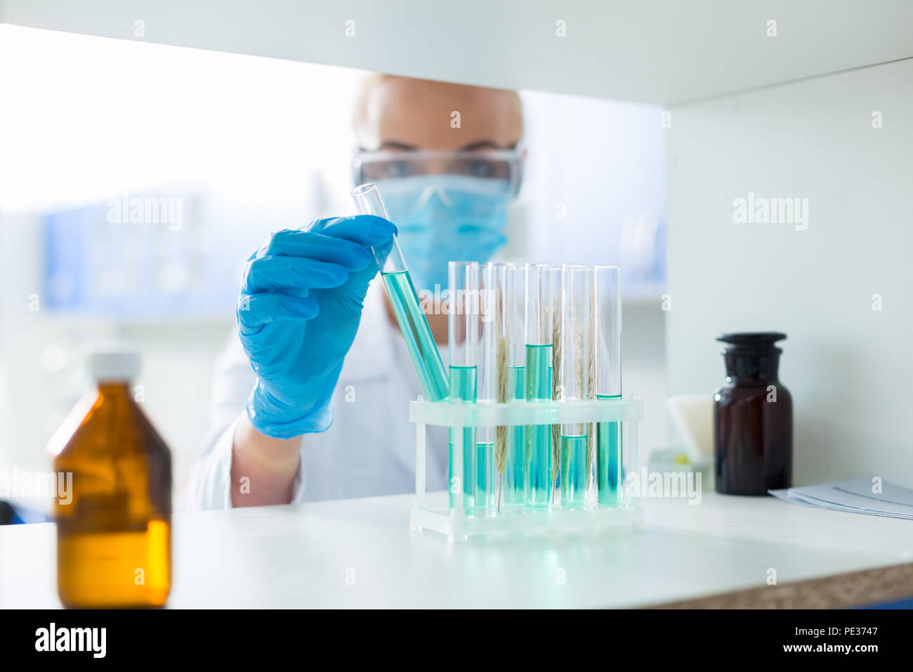 Studi chimici. Provette con reagenti chimici in piedi sul ripiano mentre viene utilizzato per l'analisi scientifica Foto Stock