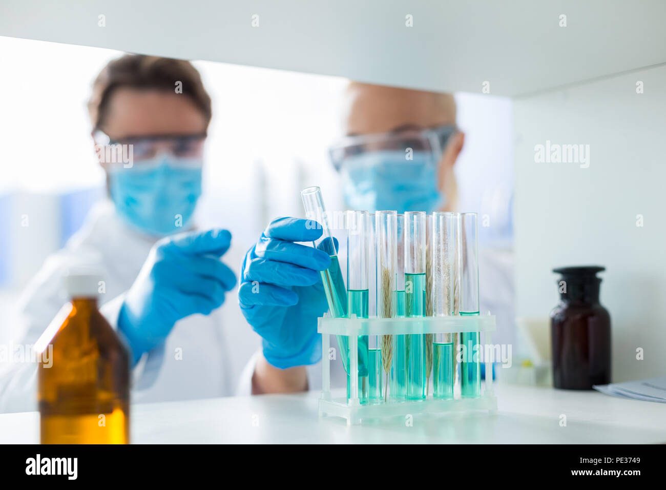 La nuova biotecnologia. Provette essendo presa dal rack per provette per analisi di laboratorio Foto Stock