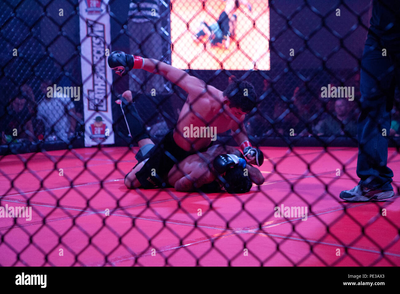 I combattenti di gareggiare al " per il Leathernecks IV' Mixed Martial Arts tournament fornite dal singolo programma marino a bordo di Marine Corps Air Station (ICM) Yuma, Ariz., sul Sett. 17, 2015. (U.S. Marine Corps foto scattata da LCpl. AaronJames B. Vinculado/rilasciato) Foto Stock