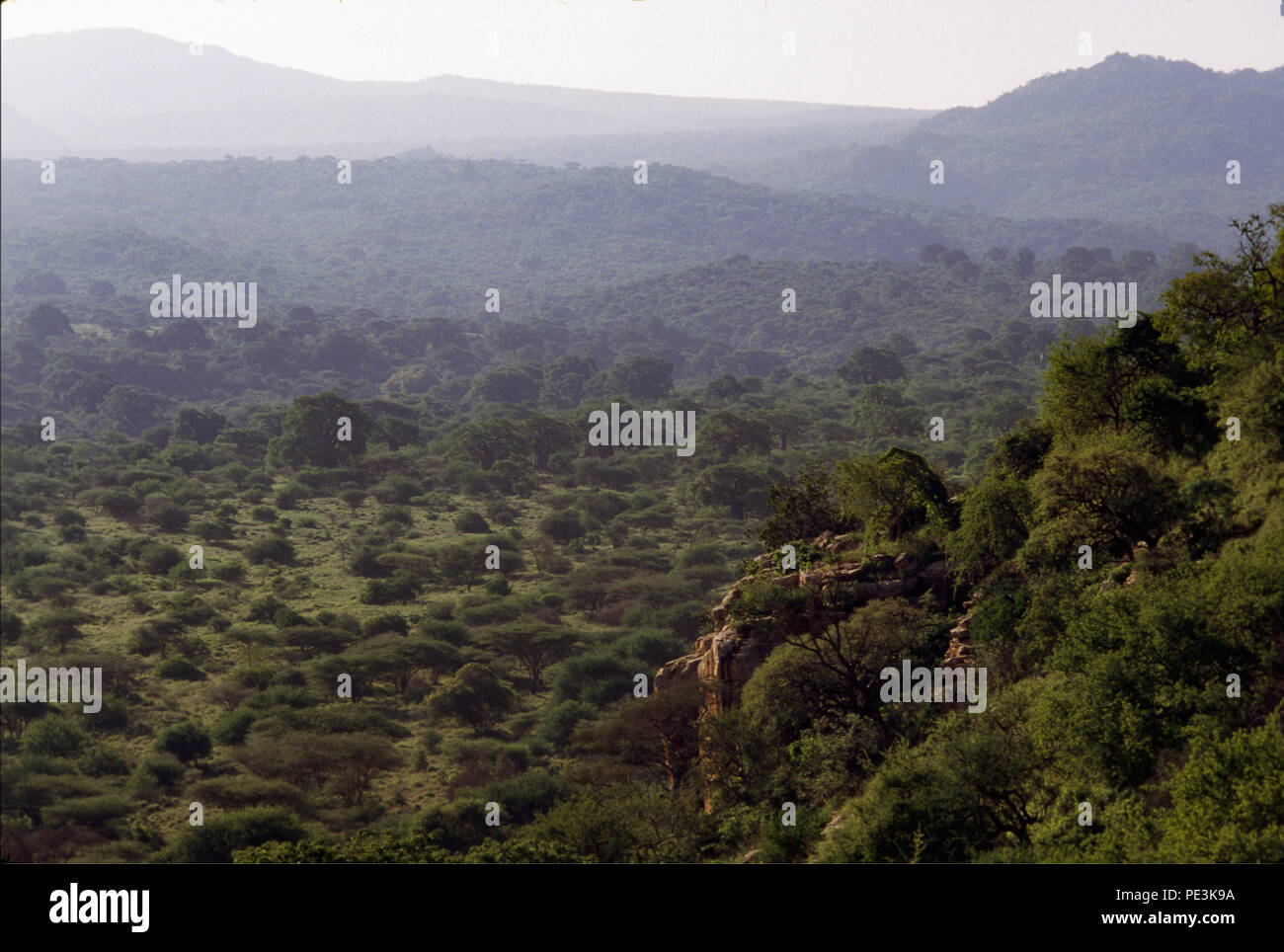 Gli Hadzabe persone sono fare clic su persone di lingua, cacciatori-raccoglitori, che vivono nella regione del Lago Eyasi, Tanzania. Ci sono forse solo 200 di essi ancora l Foto Stock