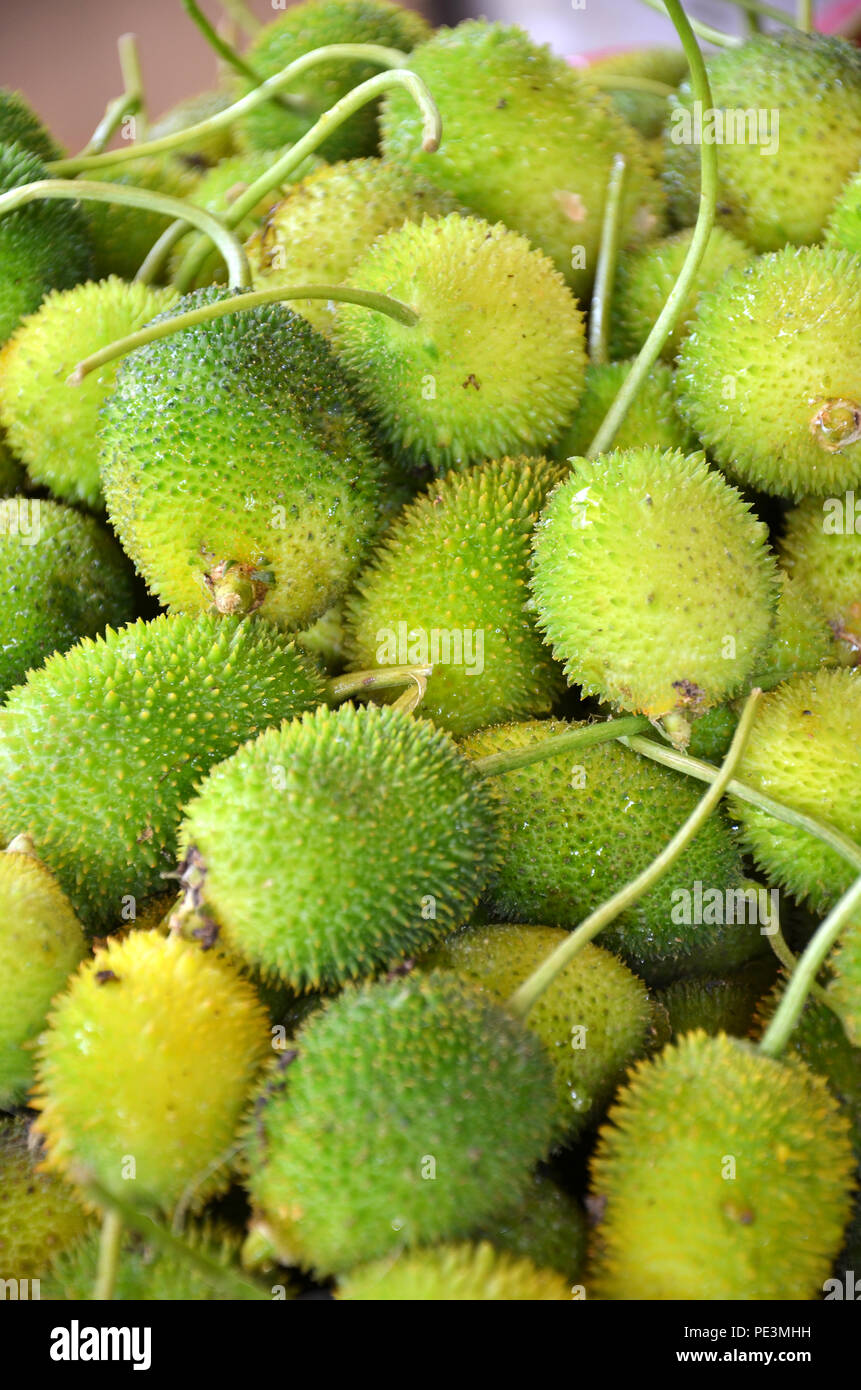 Raw zucca spinosa sul display in stallo vegetale del mercato locale a Little India, Singapore Foto Stock