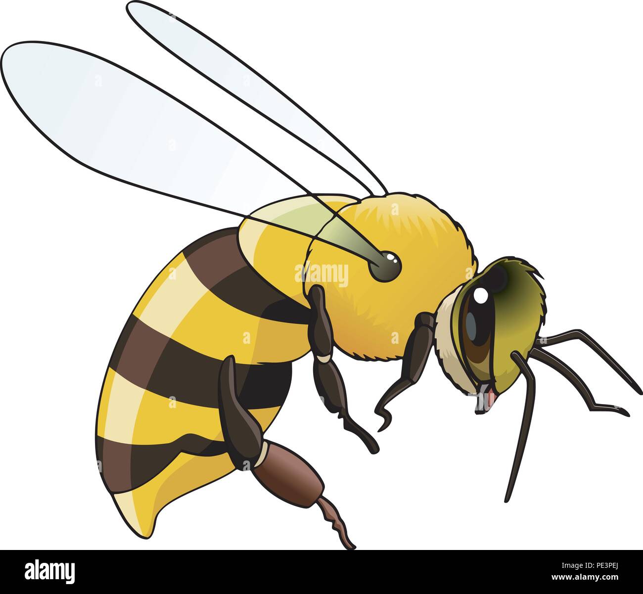 Illustrazione di un flying bee - Isolato su bianco Illustrazione Vettoriale