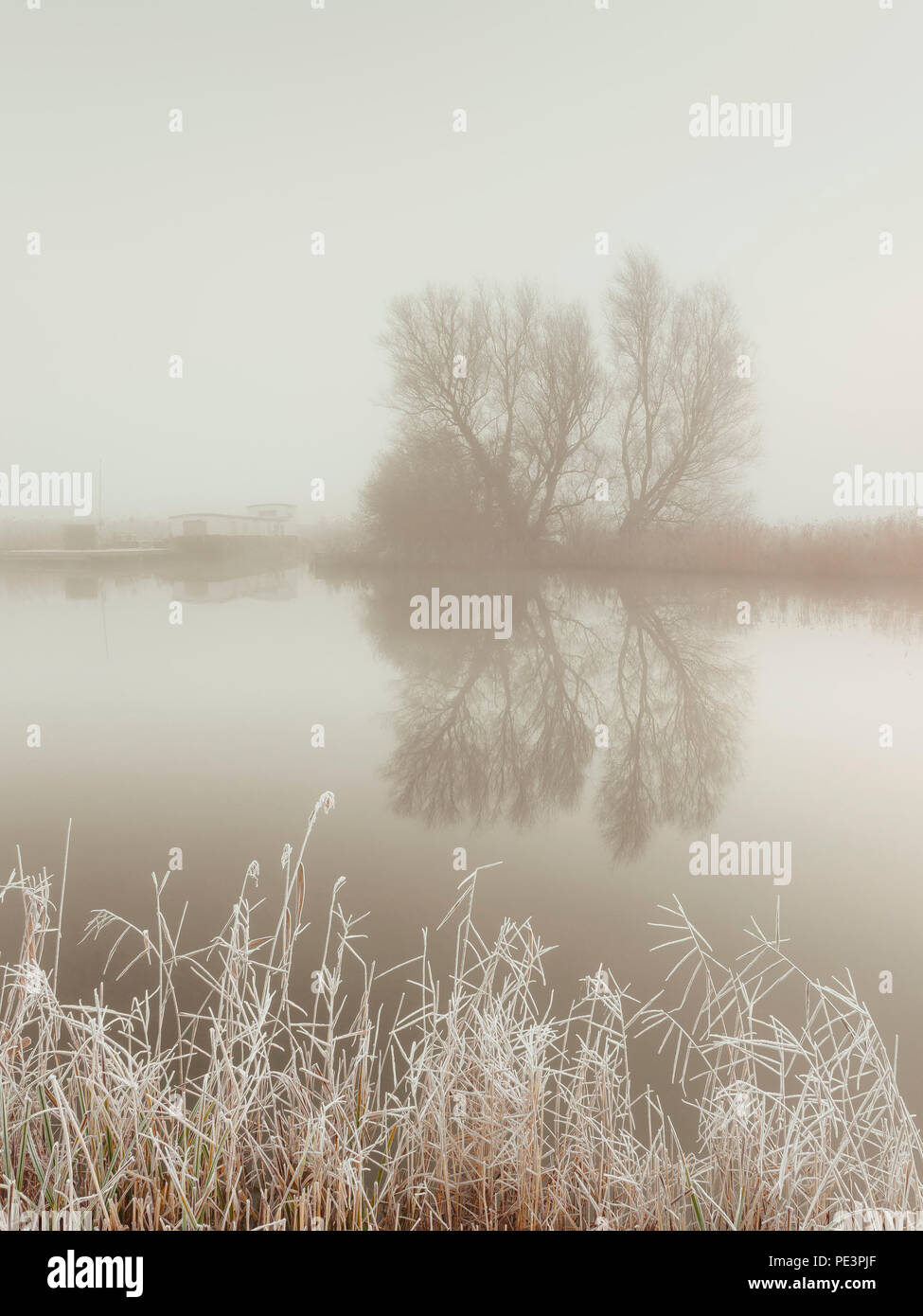 Riflessioni in acque tranquille del fiume Thurne in una nebbiosa mattina. Foto Stock