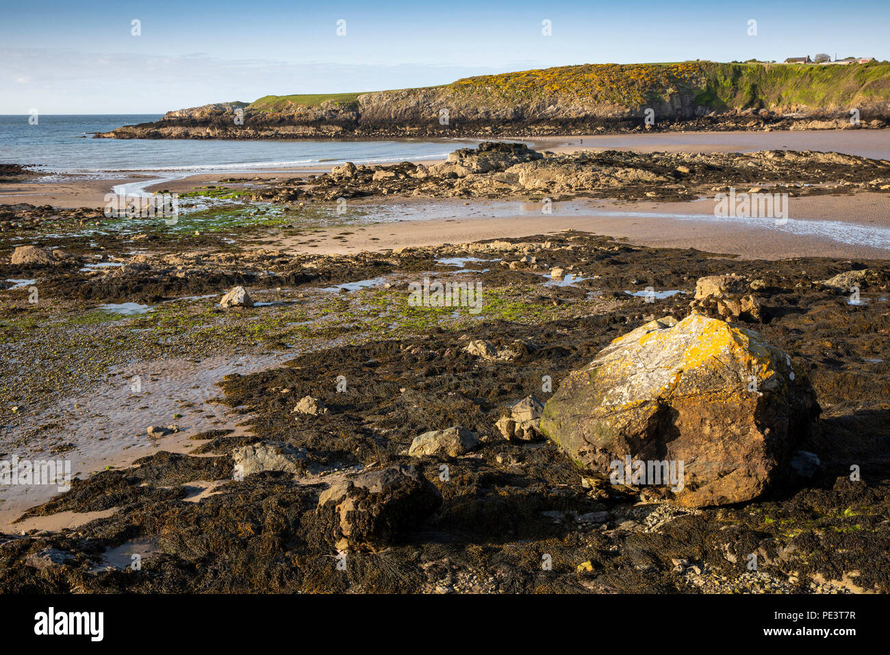 Nel Regno Unito, in Galles, Anglesey,, Cemaes Bay, rocce a bassa marea Foto Stock