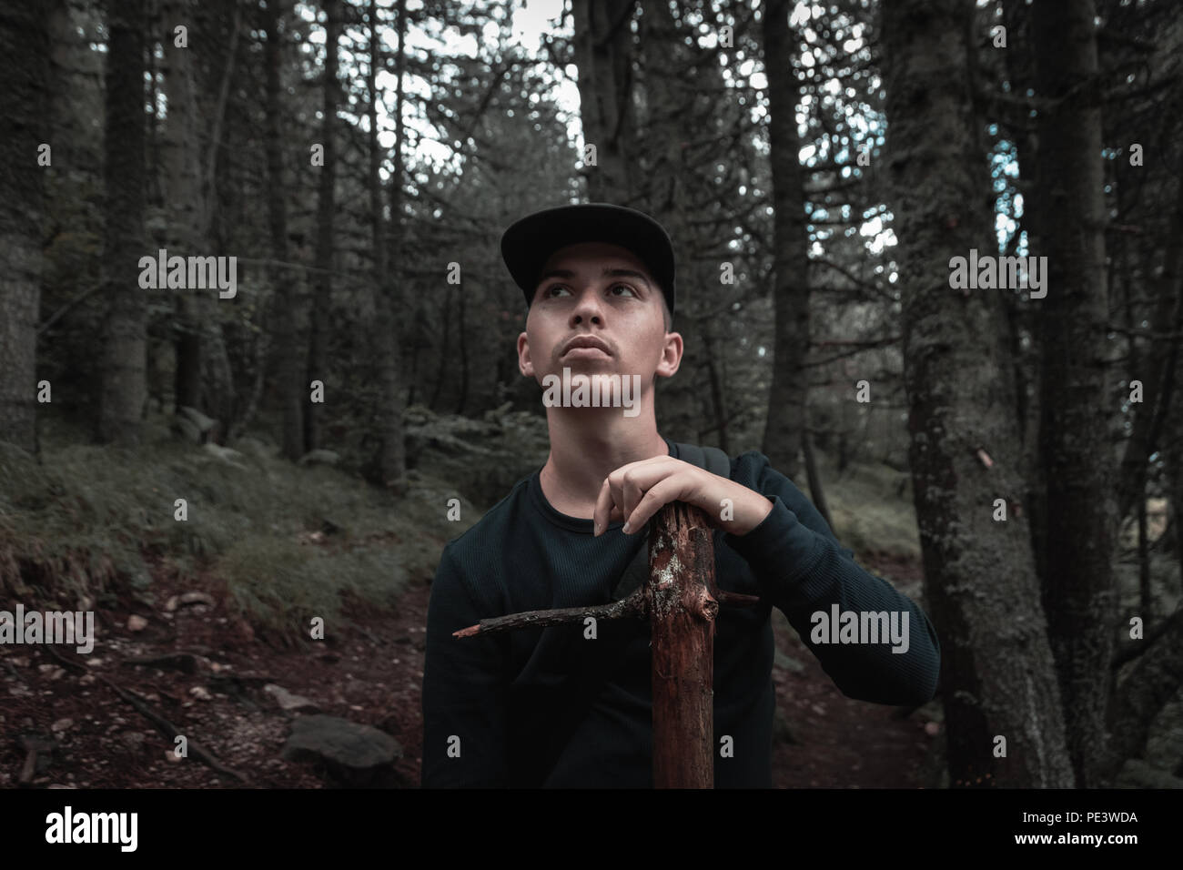 Curioso escursionista tenere bastone di legno nella parte anteriore della foresta Foto Stock