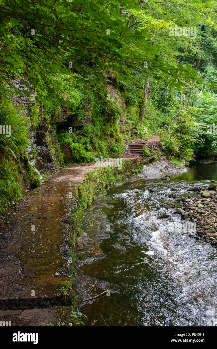 Il fiume Gelt in Gelt boschi, Brampton, Cumbria Foto Stock
