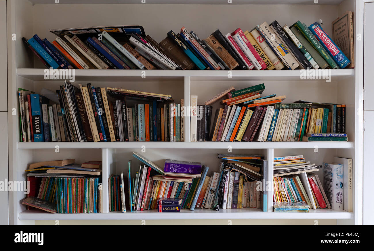 Grande immagine di sfondo - vecchi libri a casa sullo scaffale Foto Stock