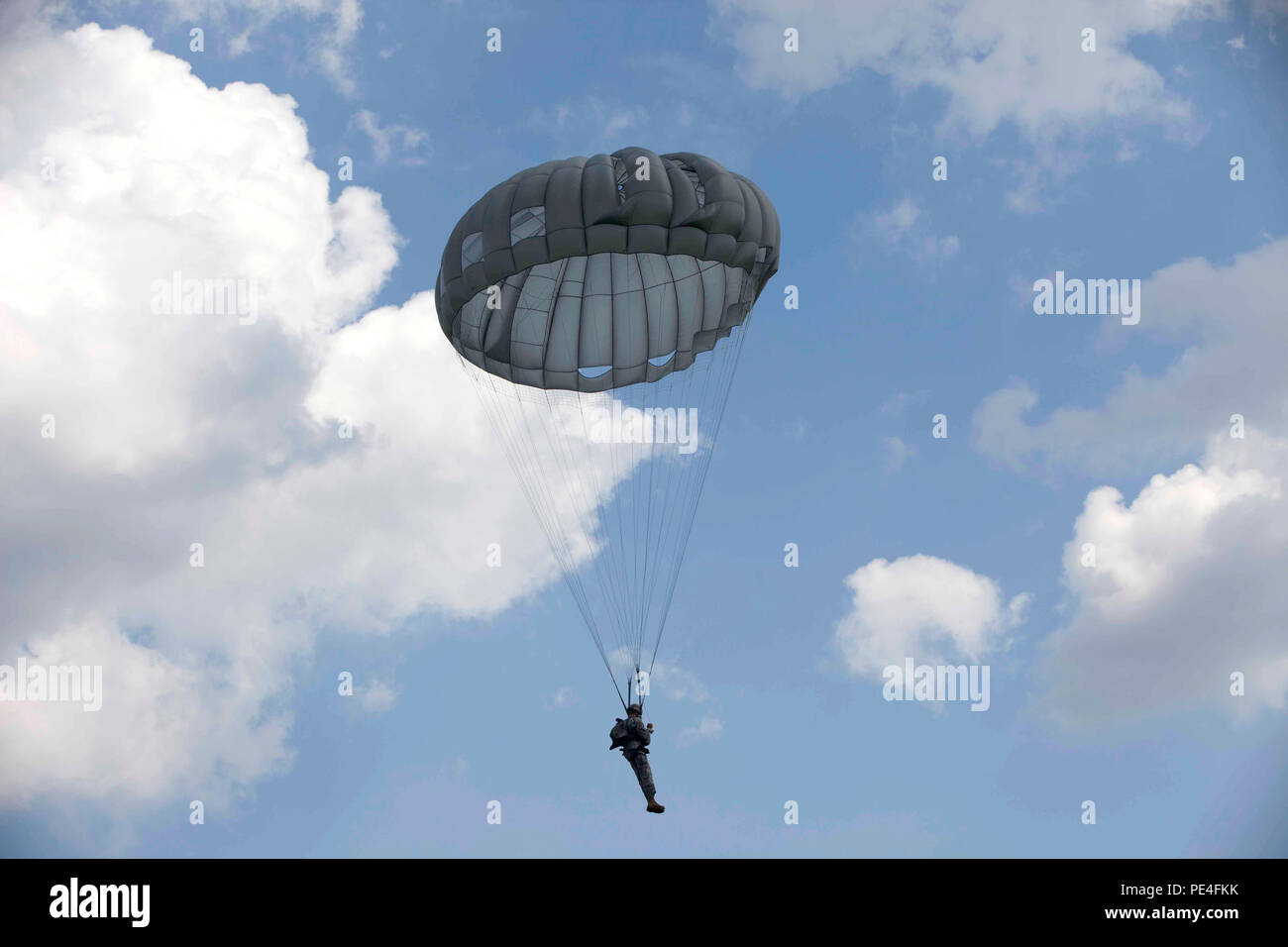 Un U.S. Paracadutista esercito scende sulla Steve Osborne nella zona di caduta per una sett. 11 Memorial jump, Gadsden, Ala., Sett. 11, 2015. Paracadutisti da 310th PSYOP, 165QM, 3-108 CAV e 982nd combattere la Camera Co. si sono riuniti per commemorare l anniversario della sett. 11, 2001, come pure ricordare i sacrifici dei colleghi membri del servizio. (U.S. Esercito foto di Spc. Kelson Brooks/RILASCIATO). Foto Stock