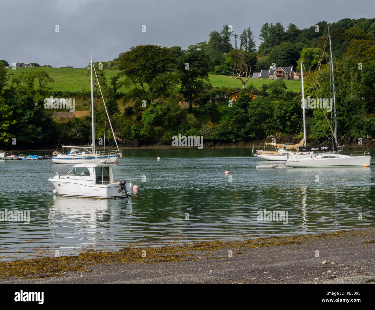 Yacht ormeggiati in una tranquilla insenatura in West Cork, Irlanda Foto Stock