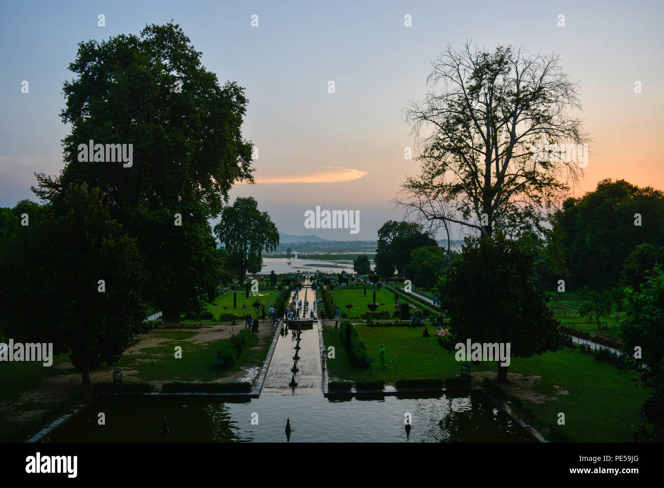 Una vista del giardino di Nishat durante il tramonto. In una giornata di sole a Nishat Garden a Srinagar, la capitale estiva di indiani somministrato Kashir. Nishat Garden è un famoso giardino di Mughal situato sul lato della banca di Dal lago nella periferia di Srinagar. Foto Stock