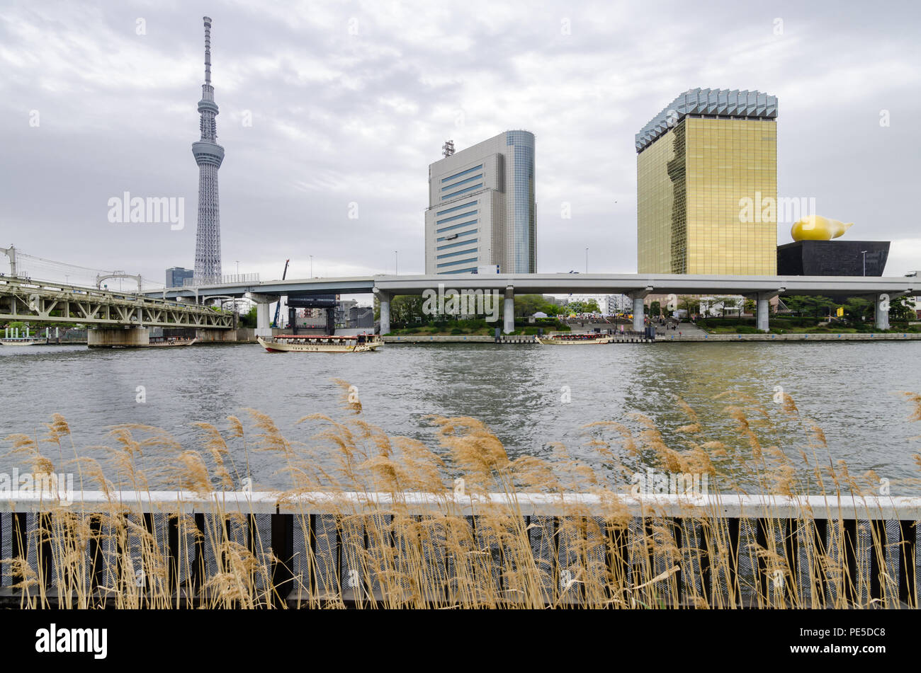 Edifici iconici come visto dal Parco Sumida, attraverso il Fiume Sumida. Tali edifici sono Asahi HQ e Torre del quartiere Sumida Office e Tokyo Skytree. Foto Stock