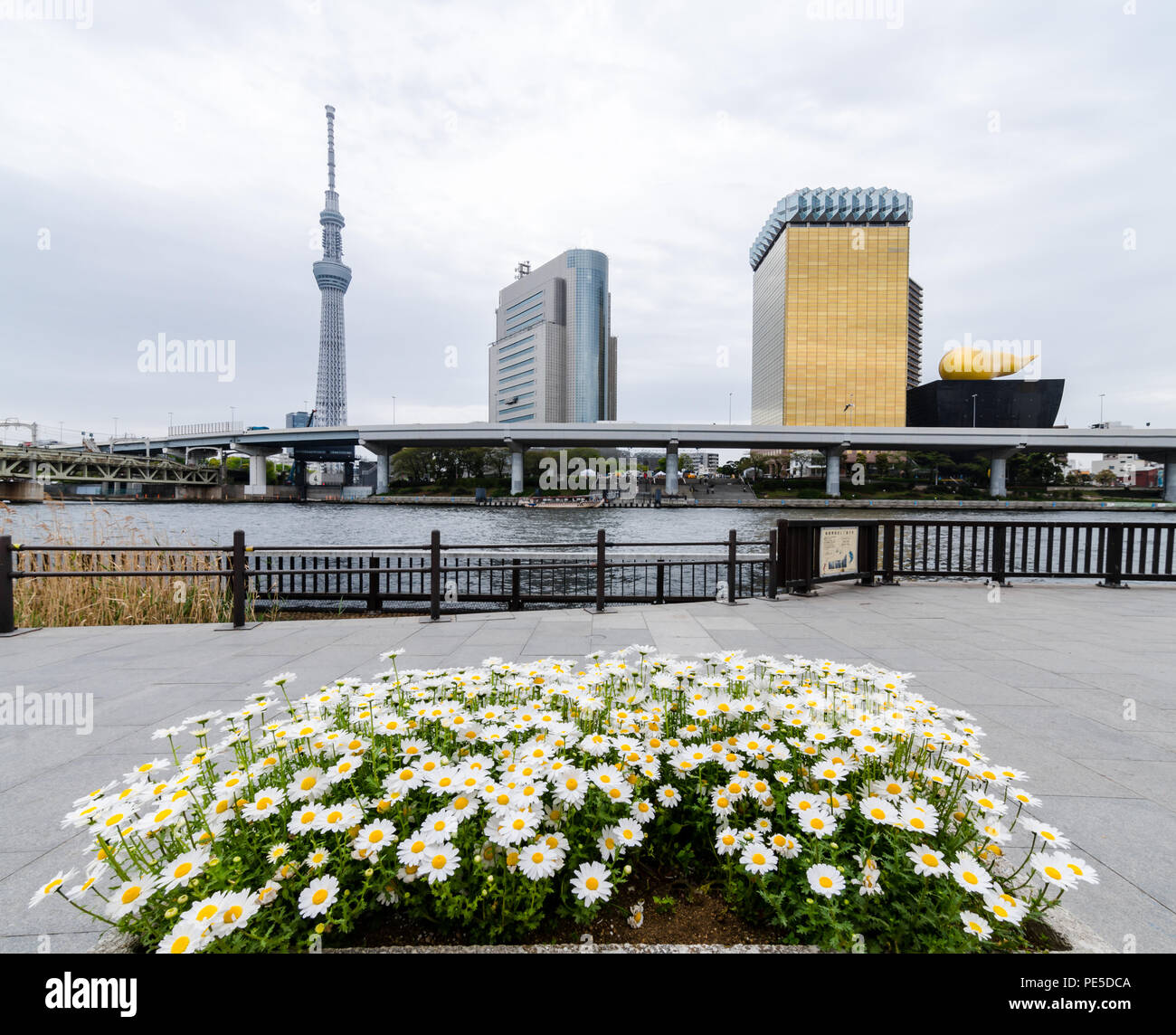 Edifici iconici come visto dal Parco Sumida, attraverso il Fiume Sumida. Tali edifici sono Asahi HQ e Torre del quartiere Sumida Office e Tokyo Skytree. Foto Stock