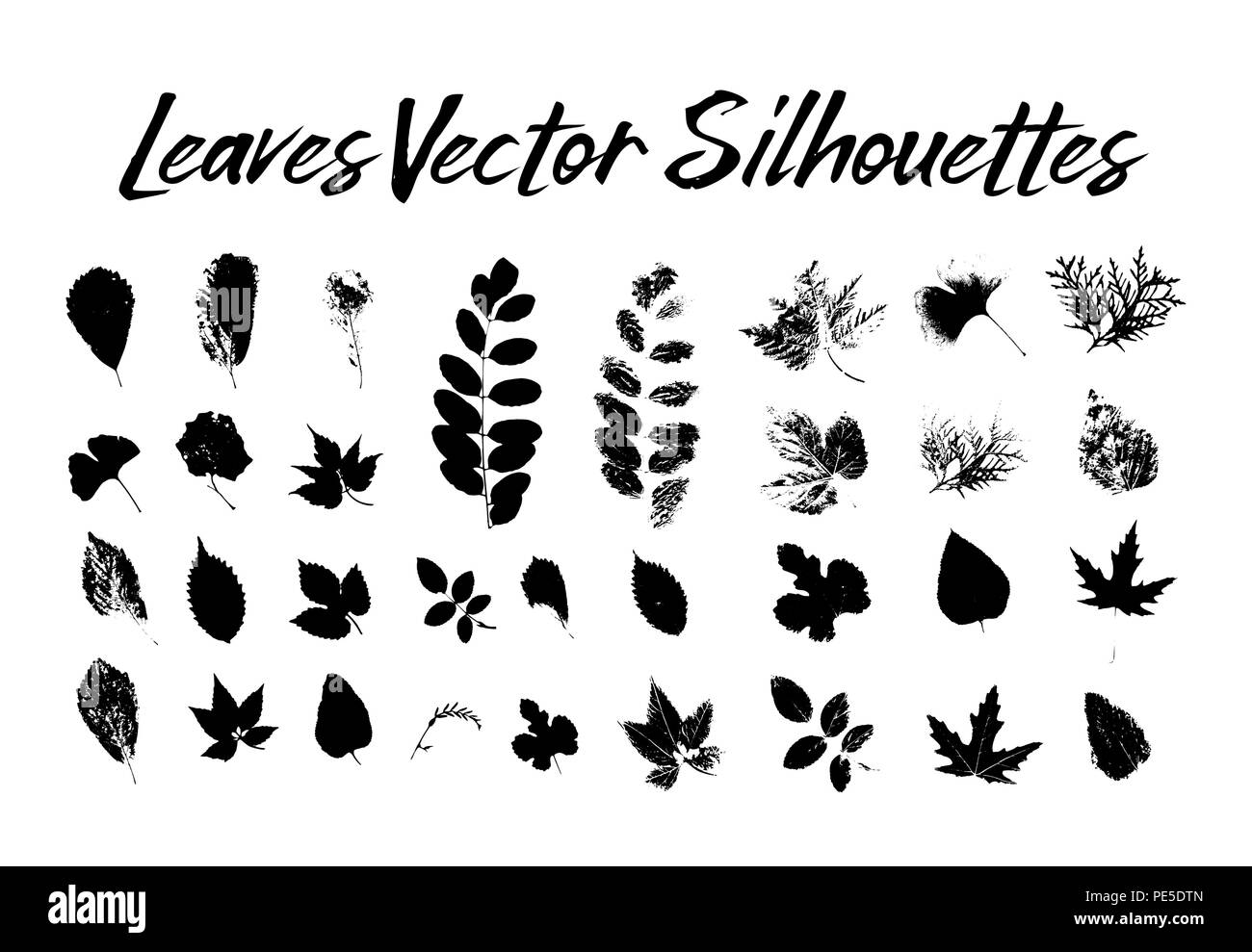 Silhouette nera con foglia di sorba o sorbo, ginkgo e acero, hop e thuja, Aspen e di Betulla, Carpino e blackberry, pioppo. Stampe di foglie sul ramoscello o stelo, ramo. La flora e la natura tema Illustrazione Vettoriale