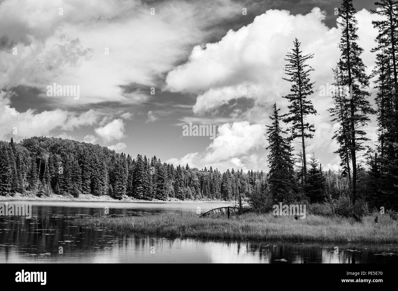 In netto contrasto bianco e nero paesaggio del lago Hickey, anatra montagna Parco Provinciale, Manitoba, Canada Foto Stock