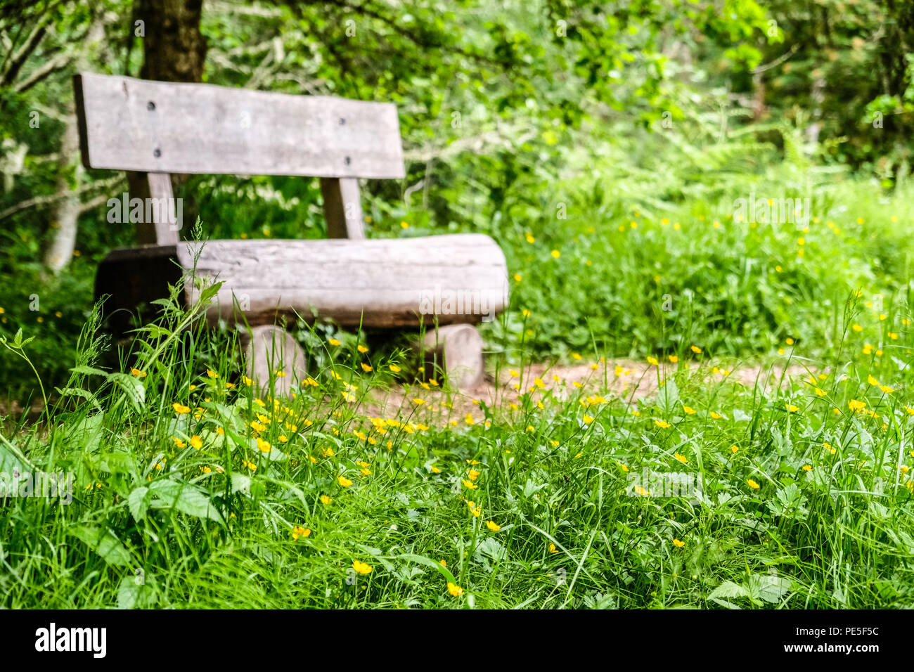 Un vecchio e consumato sedia in legno da un sentiero nel bosco Foto Stock