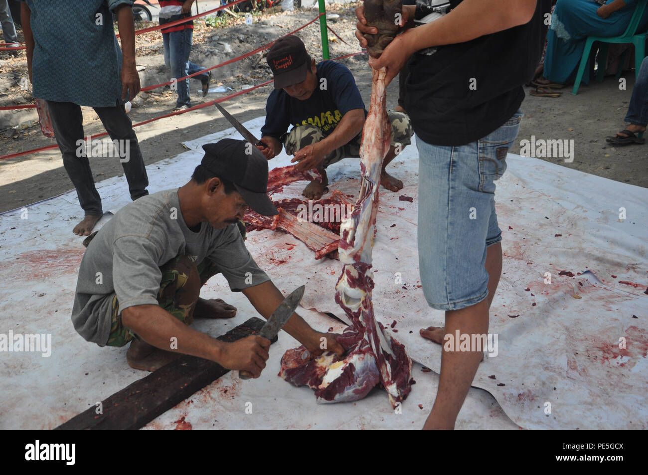 Musulmani indonesiani taglia la carne delle vacche sacrificale in Eid al-Adha il 24 settembre 2015. Foto Stock