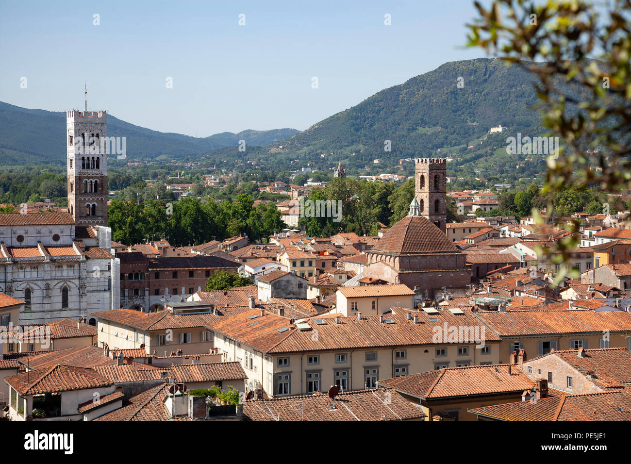 I tetti della città di Lucca e il Duomo di San Martino) a sinistra, visto dal punto di osservazione della Torre Guinigi. Les allasua de Lucques et Foto Stock