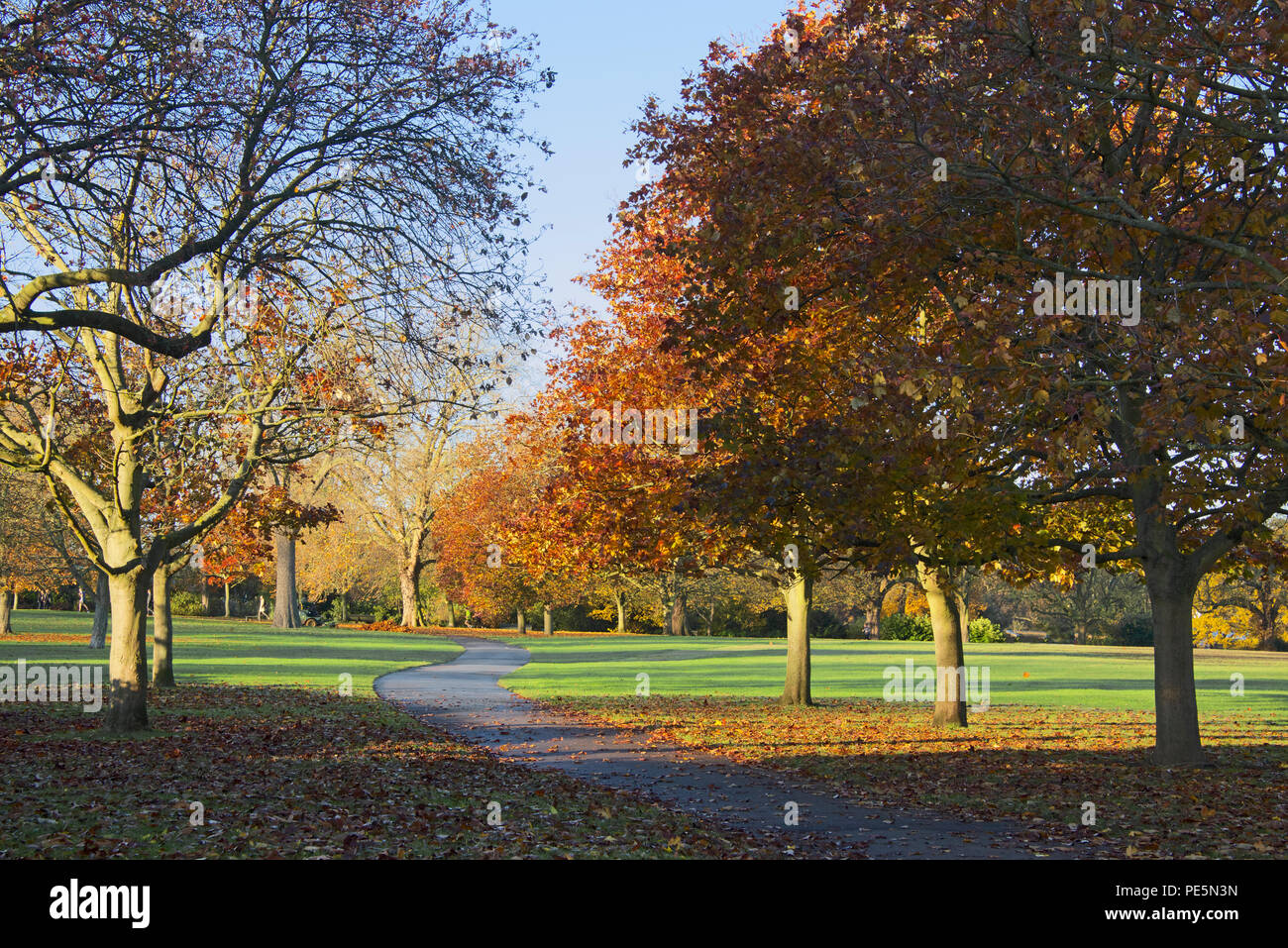 I colori autunnali nel tardo pomeriggio la luce Regents Park London Inghilterra England Foto Stock