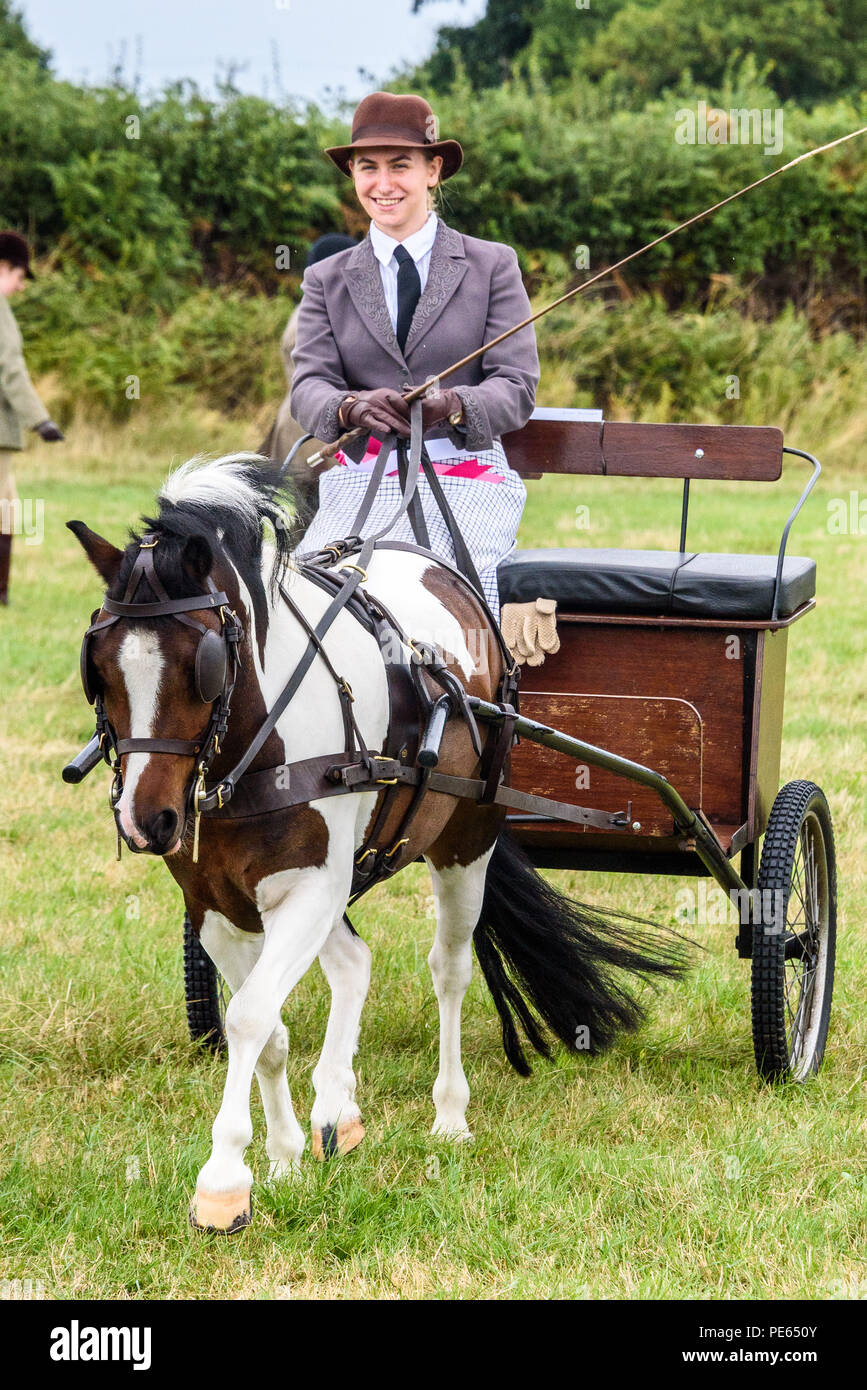 Hellingly, East Sussex, Regno Unito. 12 ago 2018. Un concorrente in una classe presso le Querce la guida Club show, Hellingly, East Sussex. Foto ©Julia Claxton Credito: Julia Claxton/Alamy Live News Foto Stock