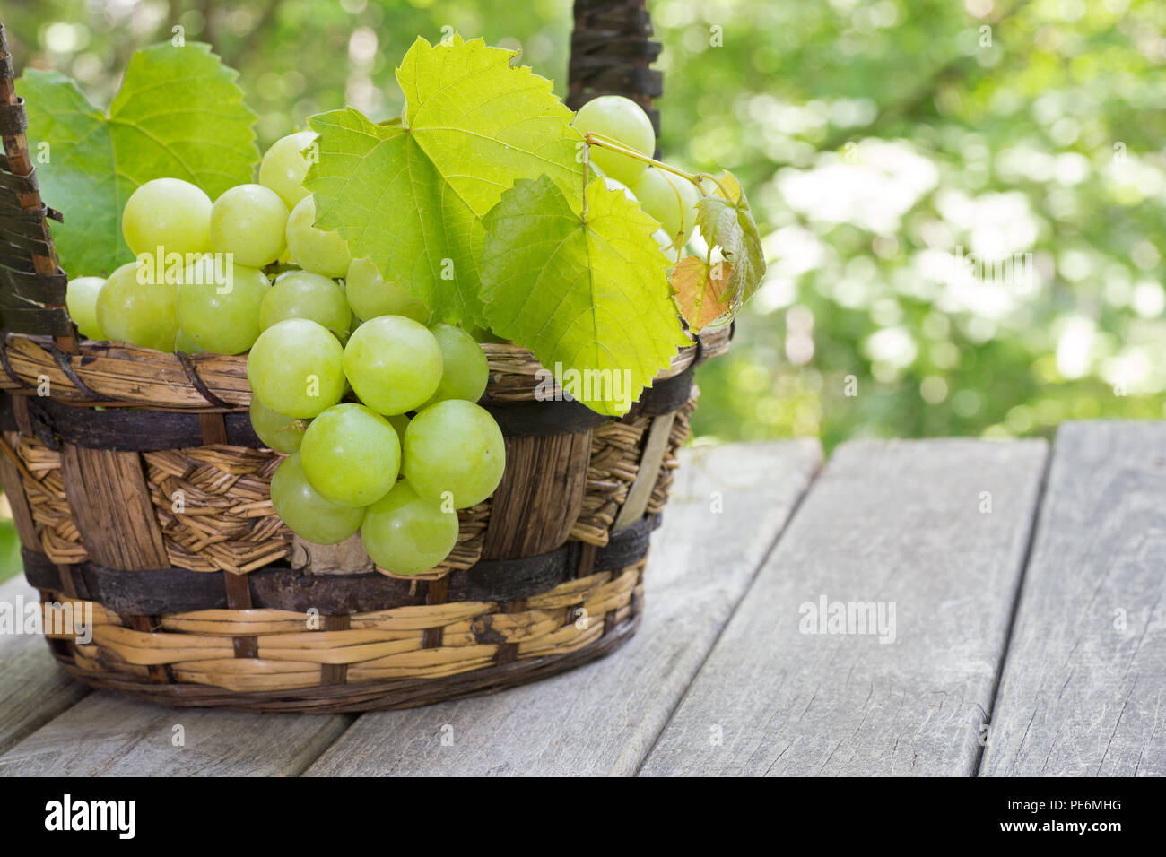 Primo piano della fresca uva verde in un rustico cesto su un weathered superficie in legno Foto Stock