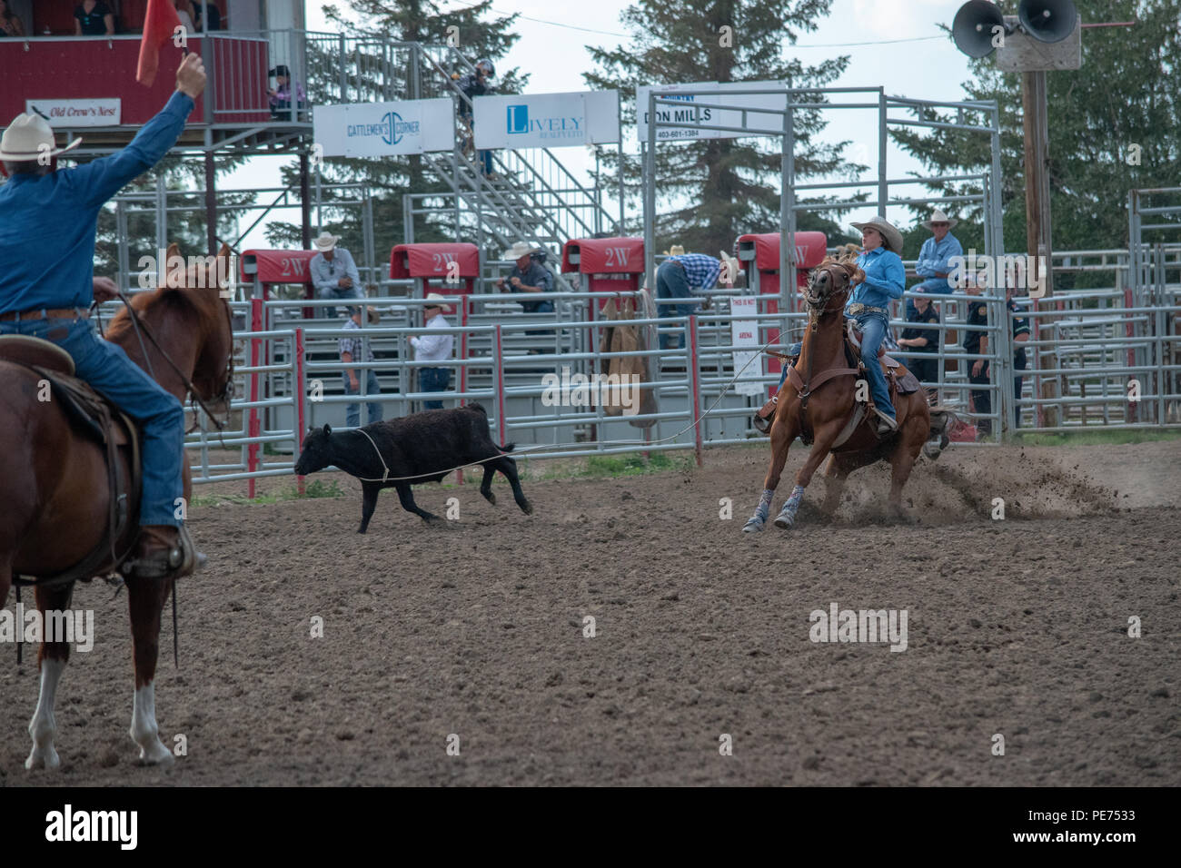 Breakaway Calf Roping al Nanton Nite Rodeo, Nanton, Alberta, Canada Foto Stock