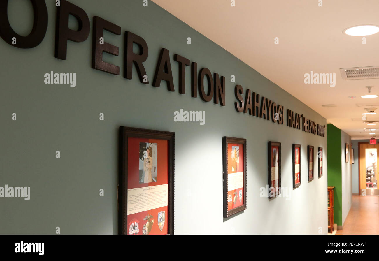 Sei Marines, insieme con due esercito nepalese Liaison soldati e cinque feriti civili nepalese, che hanno perso la vita durante un incidente aereo il 12 maggio. I marines sono state conducendo la fornitura di assistenza umanitaria e di soccorso in caso di catastrofe le operazioni a sostegno della Joint Task Force 505, durante il funzionamento Sahayogi Haat quando i loro aeromobili è andato giù. "Vendetta Hall' presso l'U.S. Ambasciata Kathmandu, Nepaal, è stato dedicato in loro onore. Foto Stock